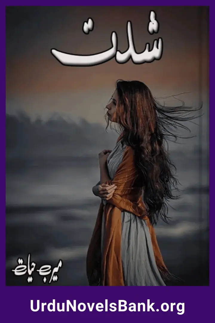Shiddat Novel By Meerab Hayat Complete All Episodes