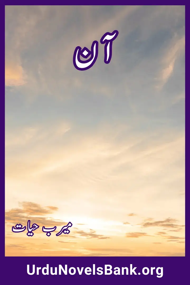 Aan Novel By Meerab Hayat